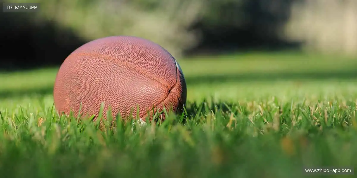 🏆 从看台到赛场,你的每一步都是传奇!🏃♂️